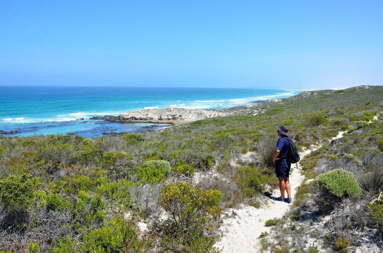 Morukuru Beach Lodge De Hoop Nature Reserve Екстер'єр фото