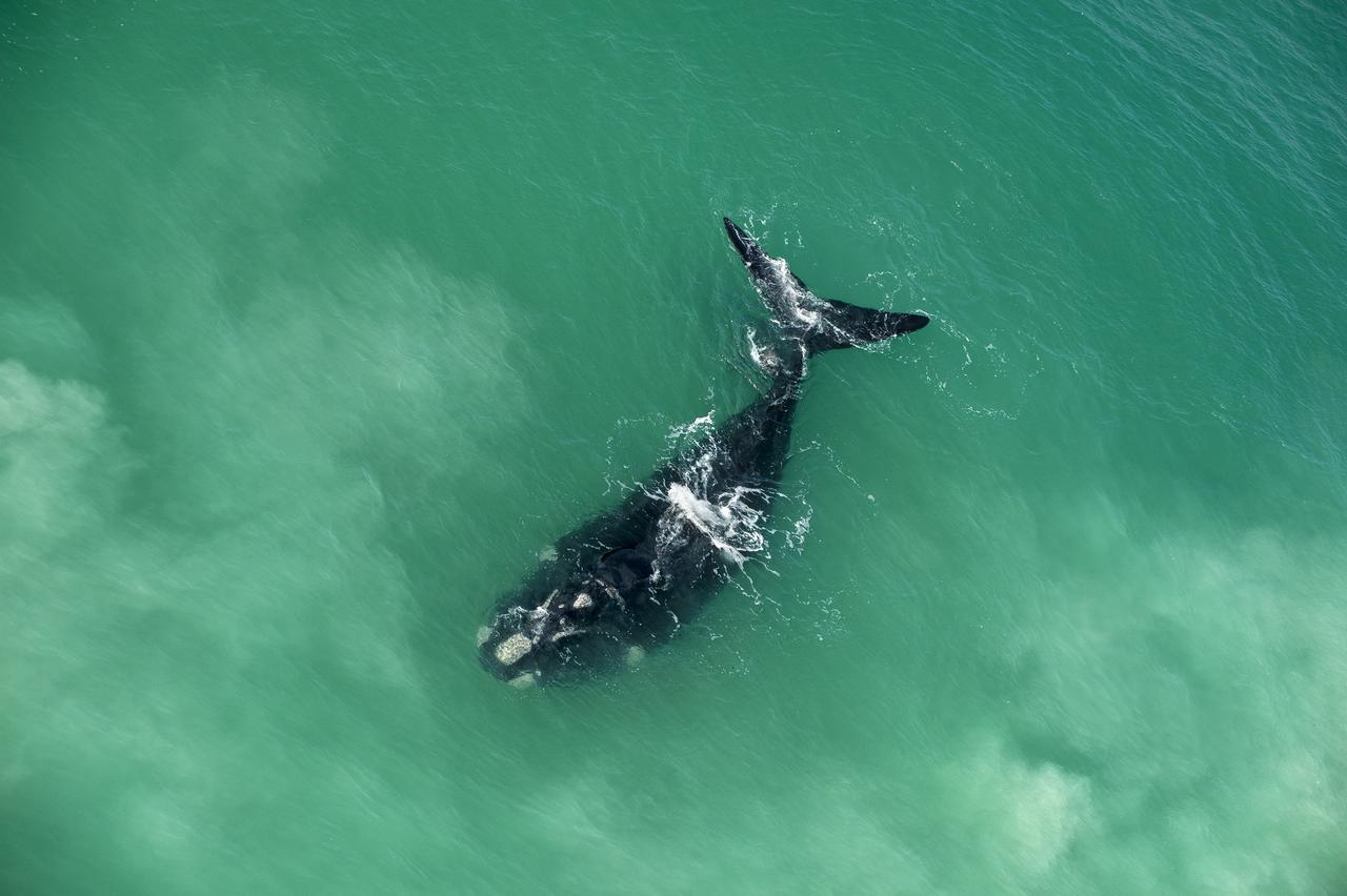 Morukuru Beach Lodge De Hoop Nature Reserve Екстер'єр фото