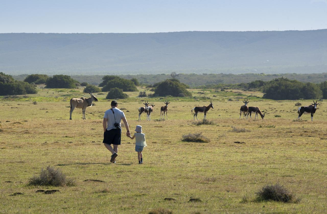 Morukuru Beach Lodge De Hoop Nature Reserve Екстер'єр фото