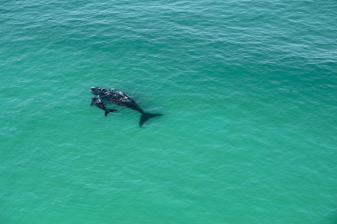 Morukuru Beach Lodge De Hoop Nature Reserve Екстер'єр фото